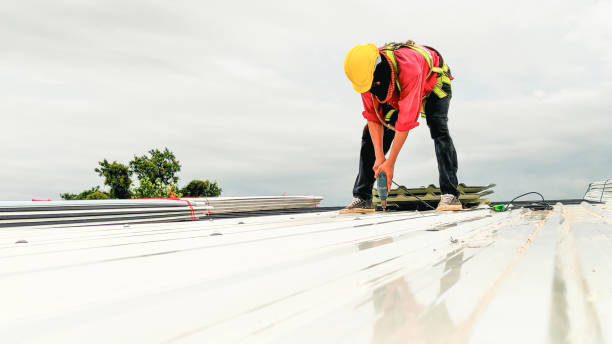 Best Cold Roofs  in Benton Heights, MI