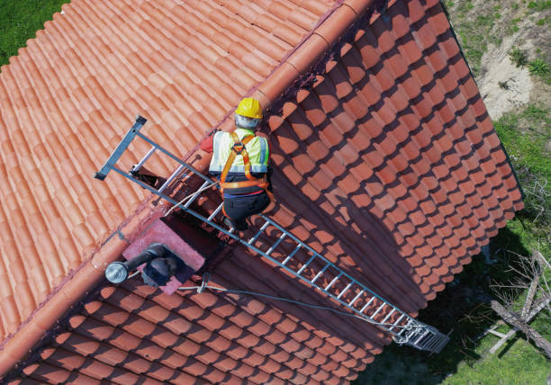 Best Asphalt Shingle Roofing  in Benton Heights, MI